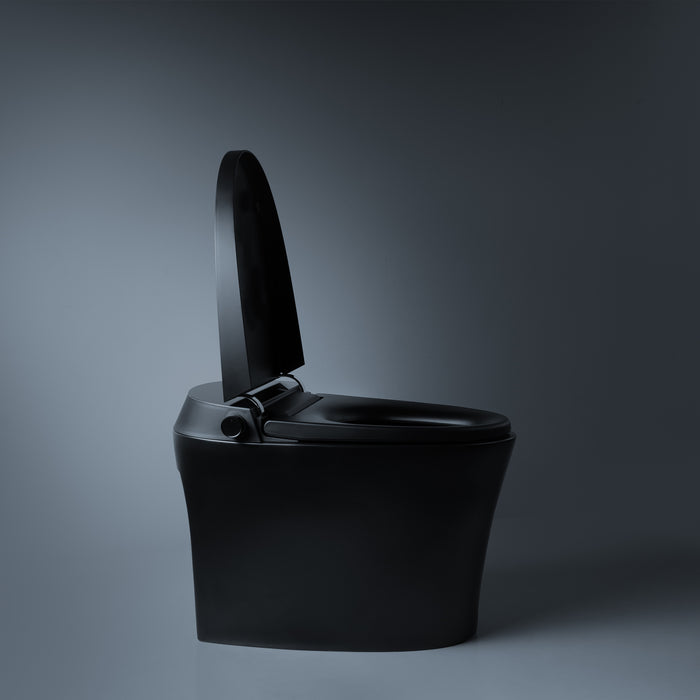 Smart Toilets