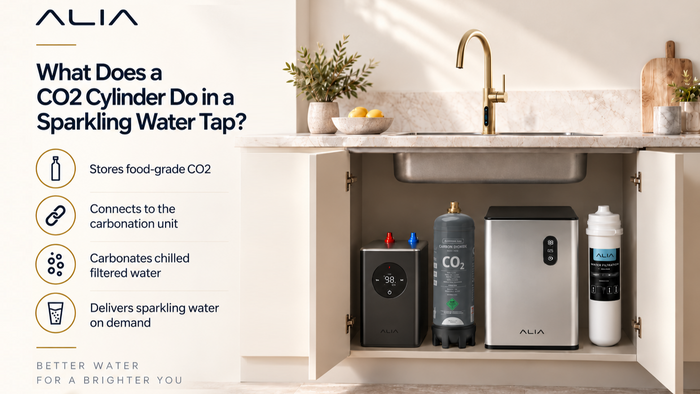 How Much Does a CO2 Cylinder for a Sparkling Water Tap Cost?