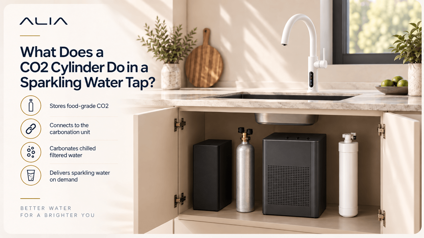 How Much Does a CO2 Cylinder for a Sparkling Water Tap Cost?