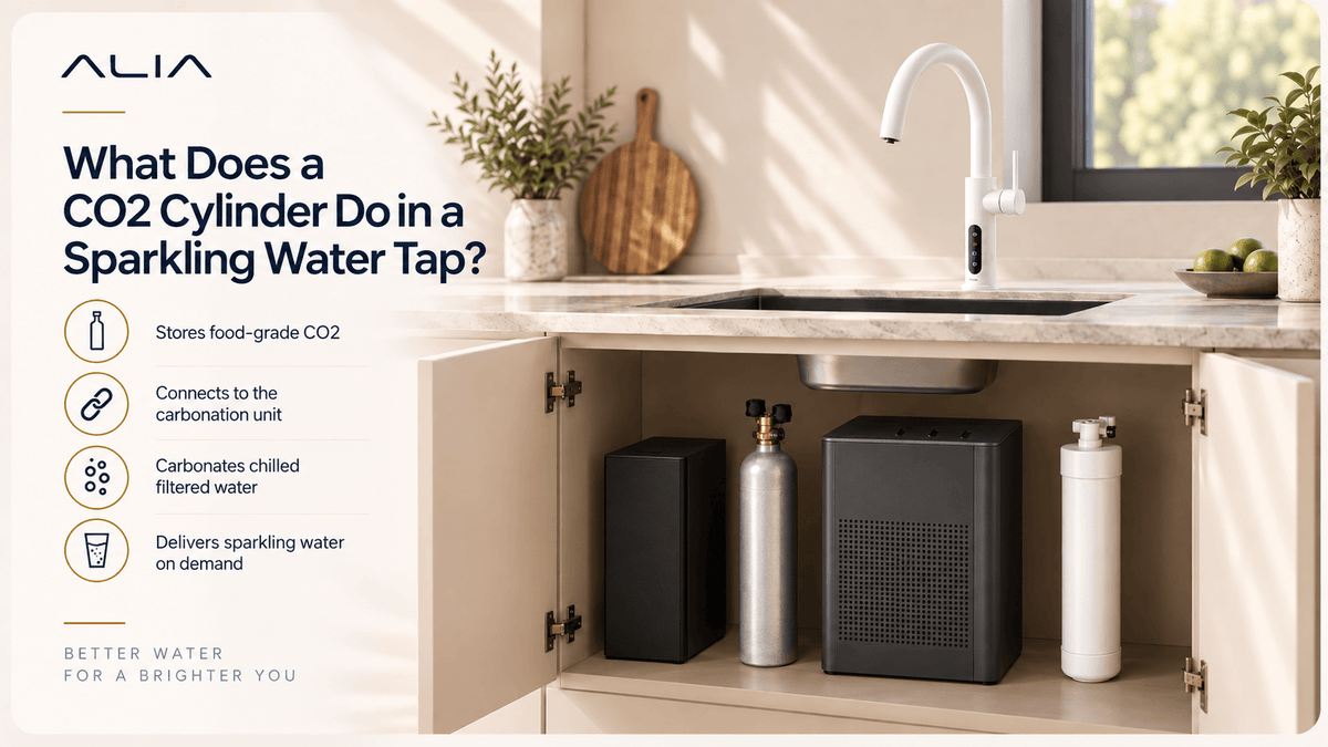 How Much Does a CO2 Cylinder for a Sparkling Water Tap Cost?