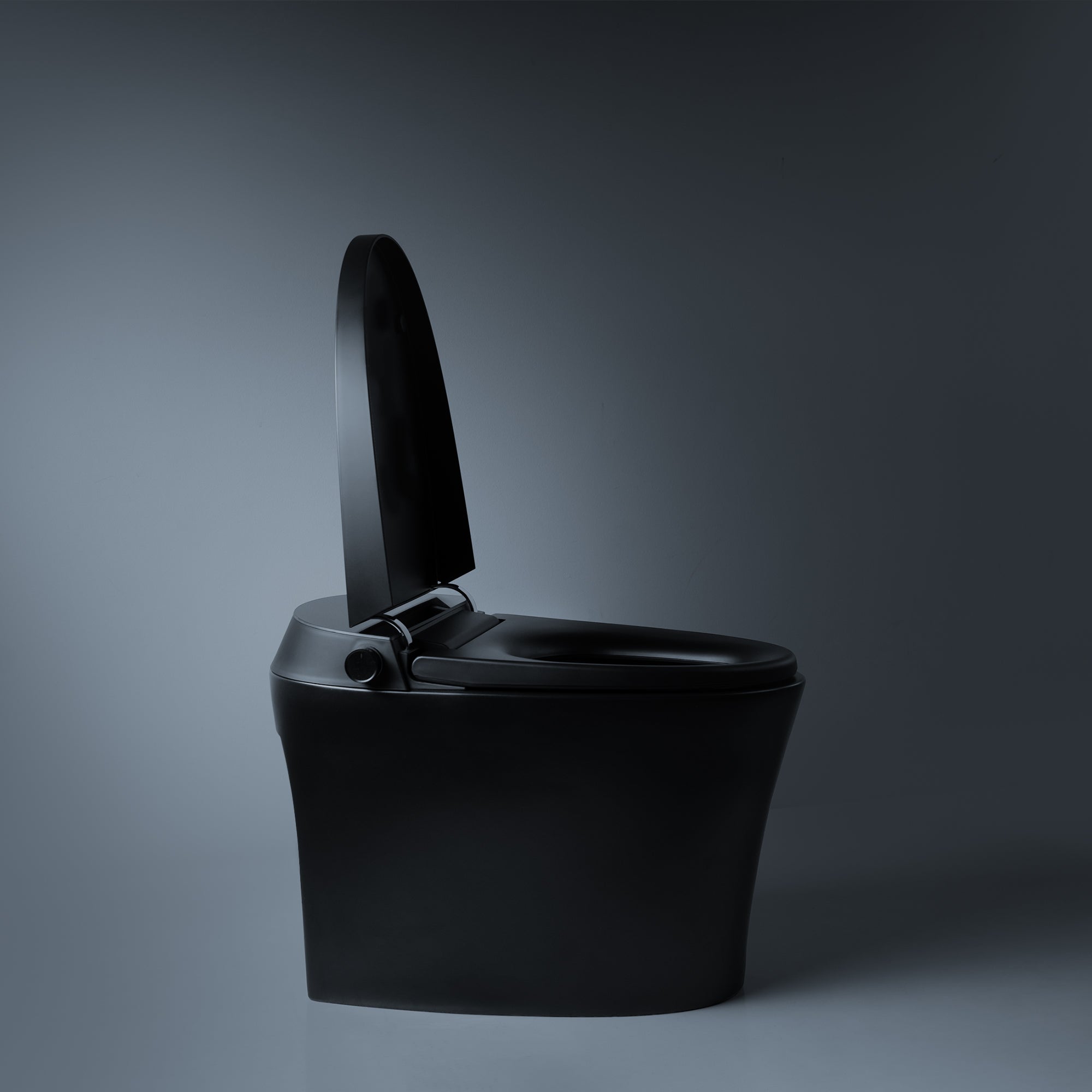 Smart Toilet