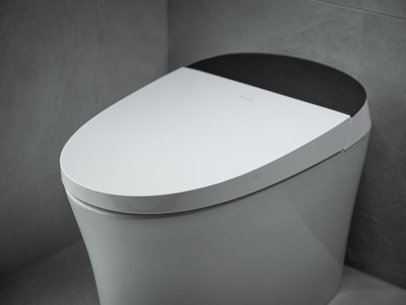 Smart Toilet